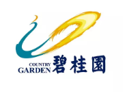 和平碧桂园地产